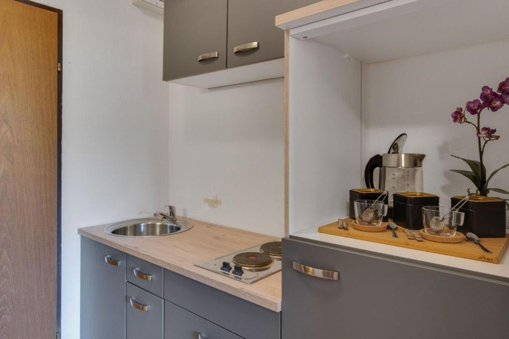 Apartment Noemi Bad Goisern Extérieur photo